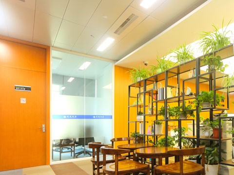 中華人民共和國刑法全文