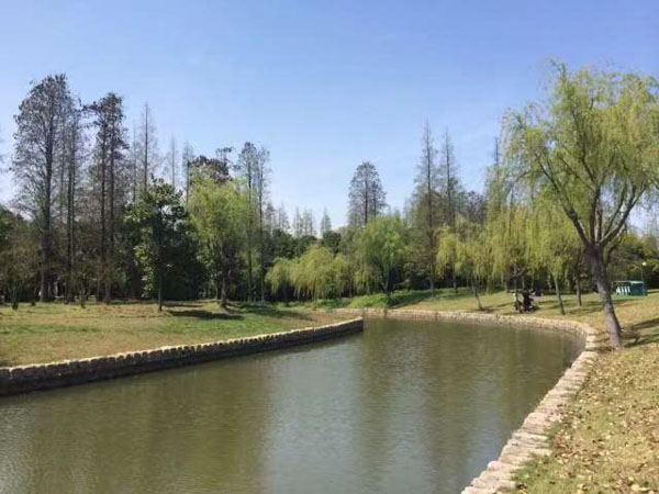 上海法律顧問說法：什么情況下出具遺言公證書？遺言的五種形式又是什么？