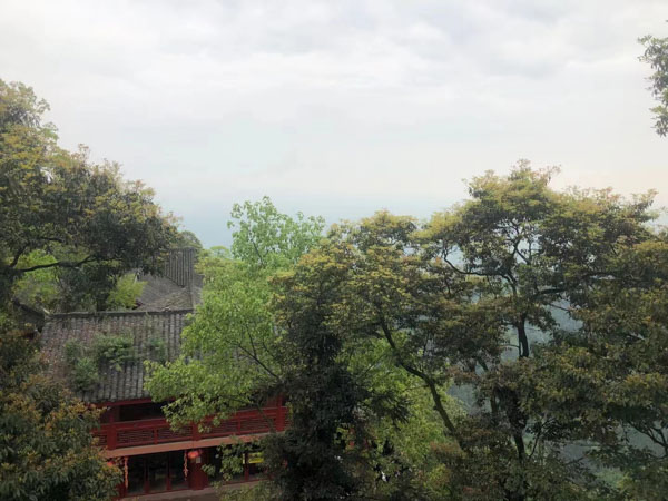 上海公司法專業(yè)律師為您講解股權(quán)轉(zhuǎn)讓回購糾紛處理及法律措施