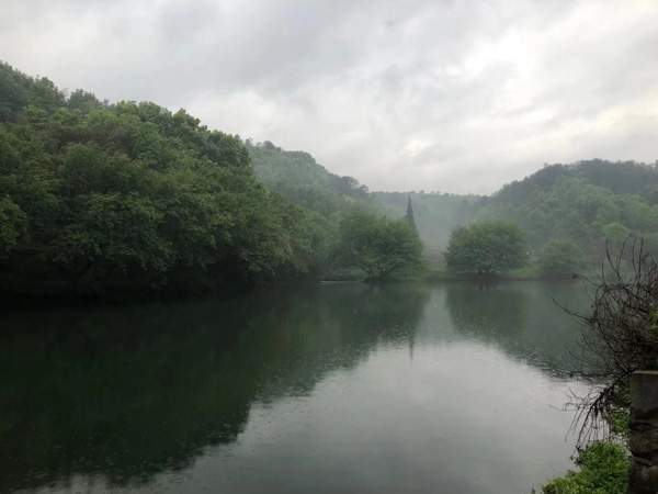 上海公司法專業(yè)律師為您講解股權(quán)轉(zhuǎn)讓回購糾紛處理及法律措施