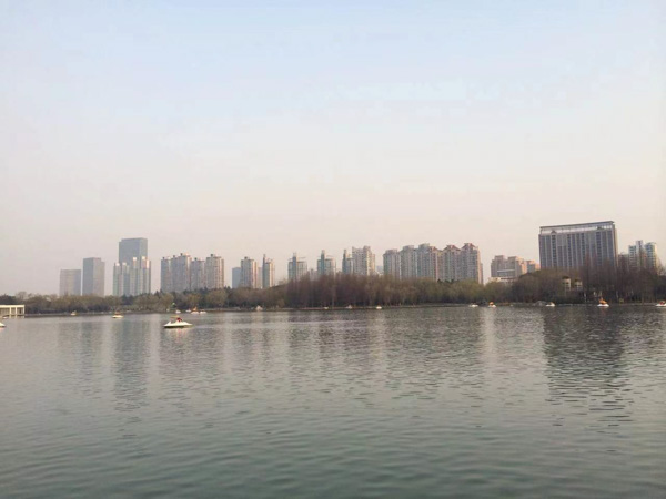 上海知名公司律師來講講債權人請求能否請求股東承擔補充賠償責任
