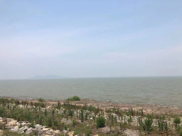 上海公司法專業律師來講講股東退股時發現未足額出資如何處理